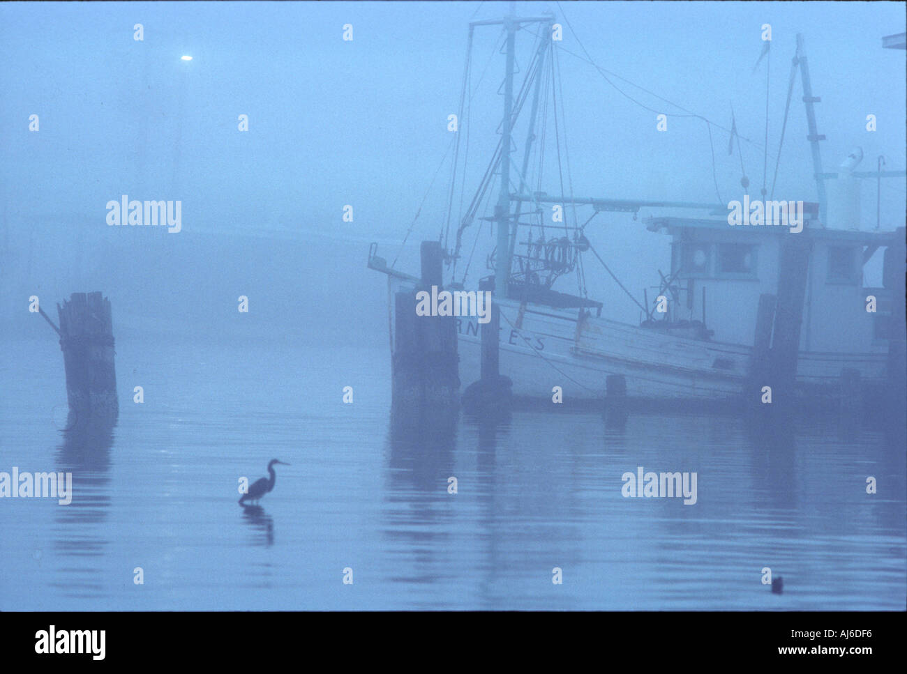 Shrimp boats in Kemah Texas Stock Photo Alamy