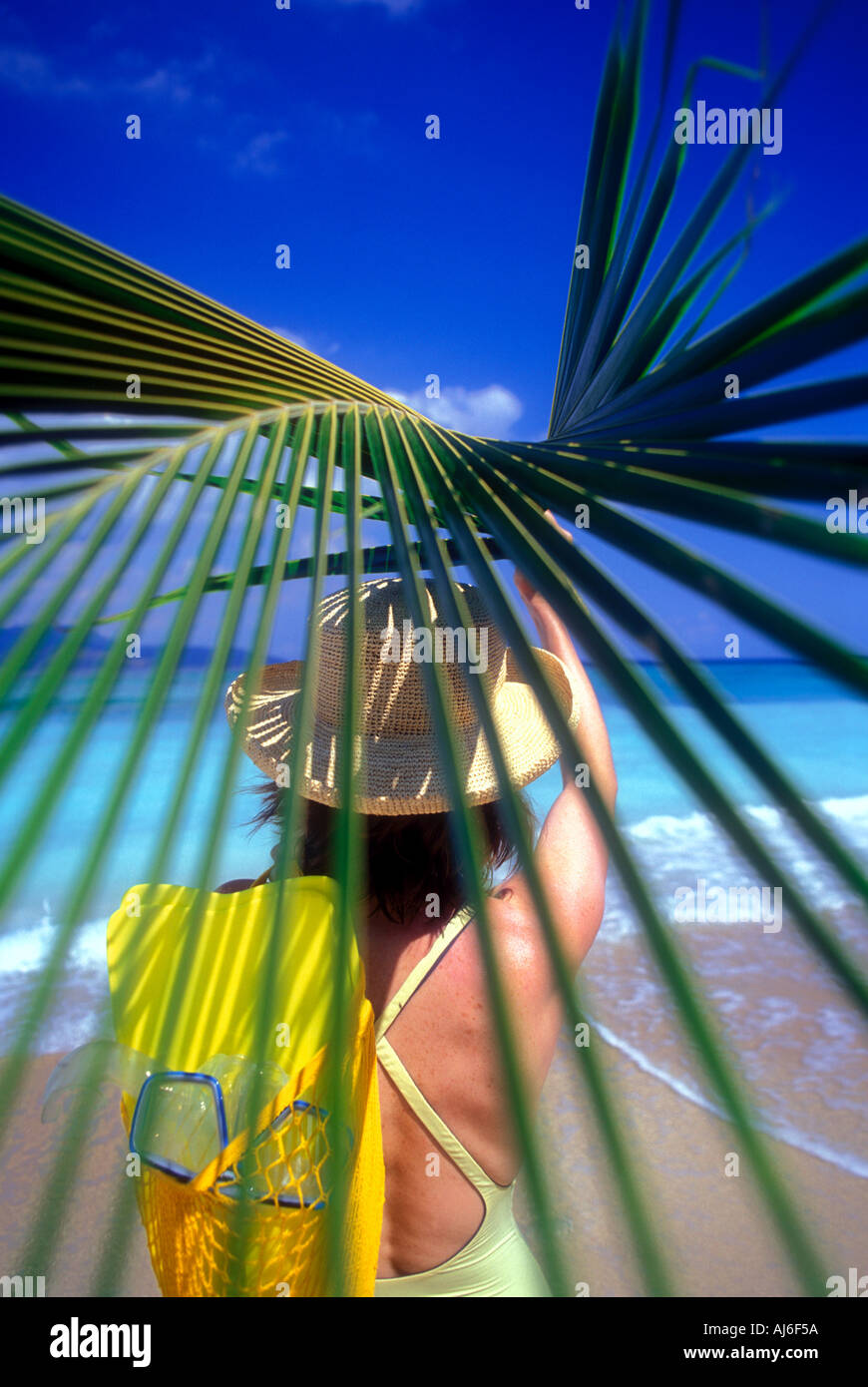 Woman holding palm frond leaf over head on the island of Lombok in Indonesia Southeast Asia Model Released Image Stock Photo