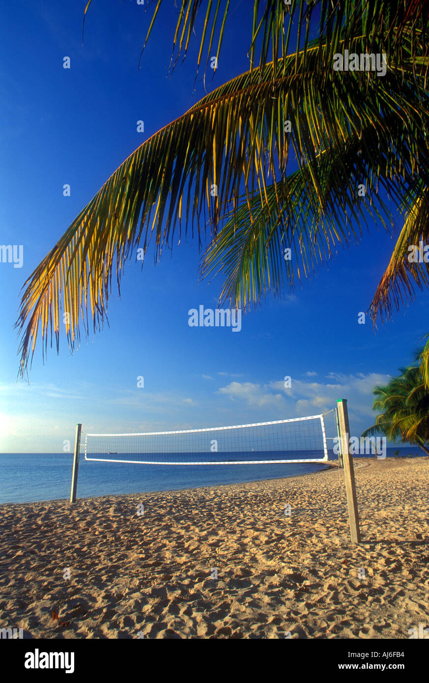 Tropical beach volleyball court on the island of Key West in Florida