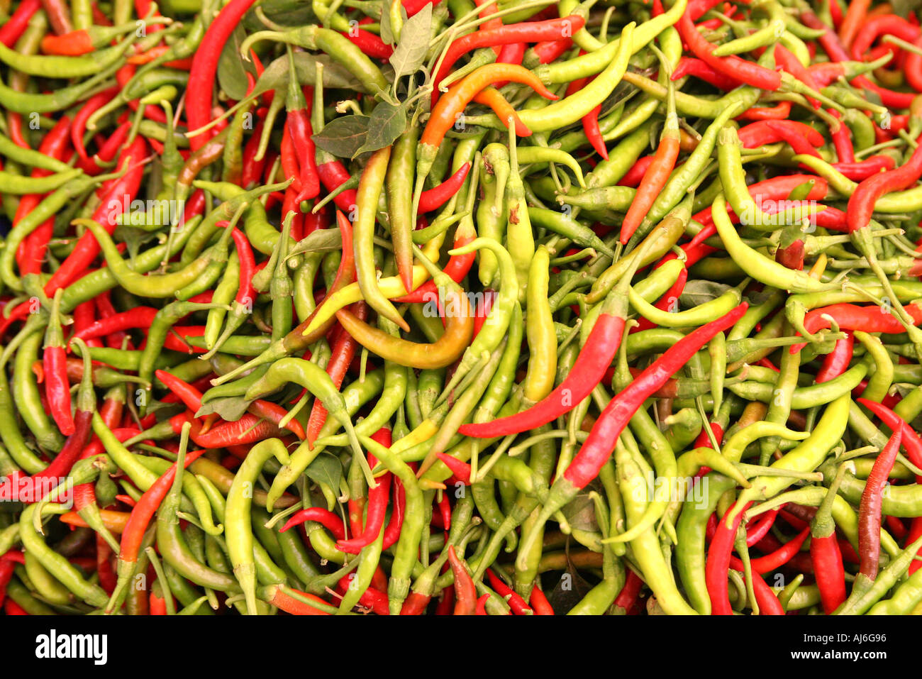 Red and green peppers mixed  Stock Photo