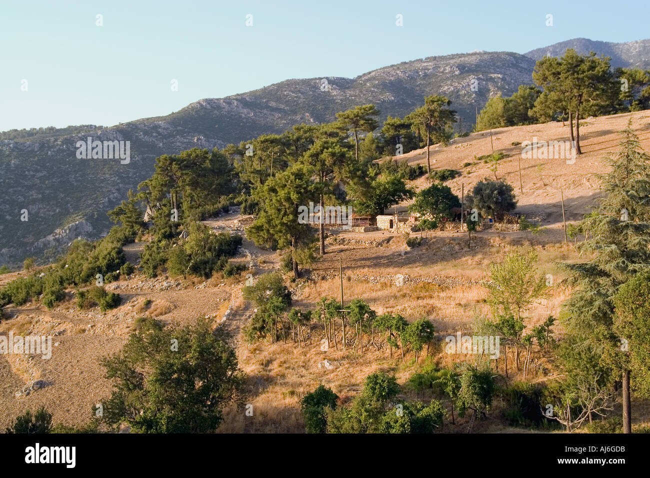 Rural landscape southern Turkey mid summer  Stock Photo