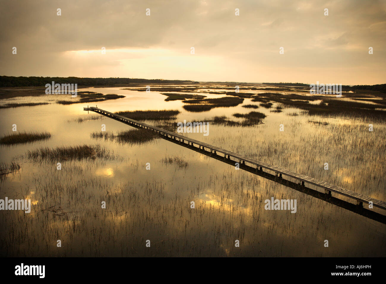 Scenic wooden walkway stretching over wetlands at sunset on Bald Head