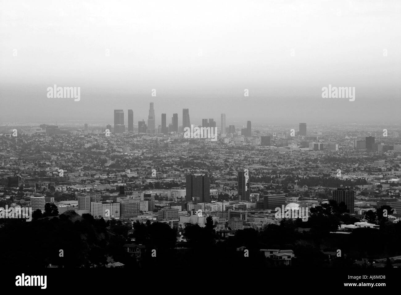 Black and white view of Los Angeles CA skyline Stock Photo - Alamy