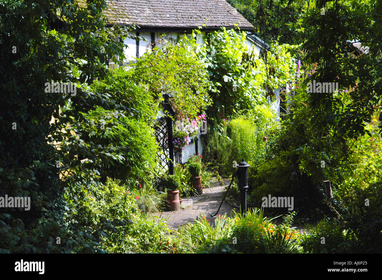 Pretty Timber Framed Cottage In The Picturesque English Village Of