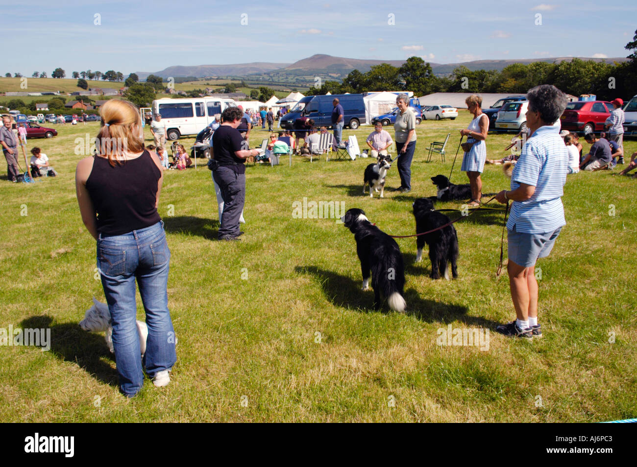 Local dog shows near me 2019 2025
