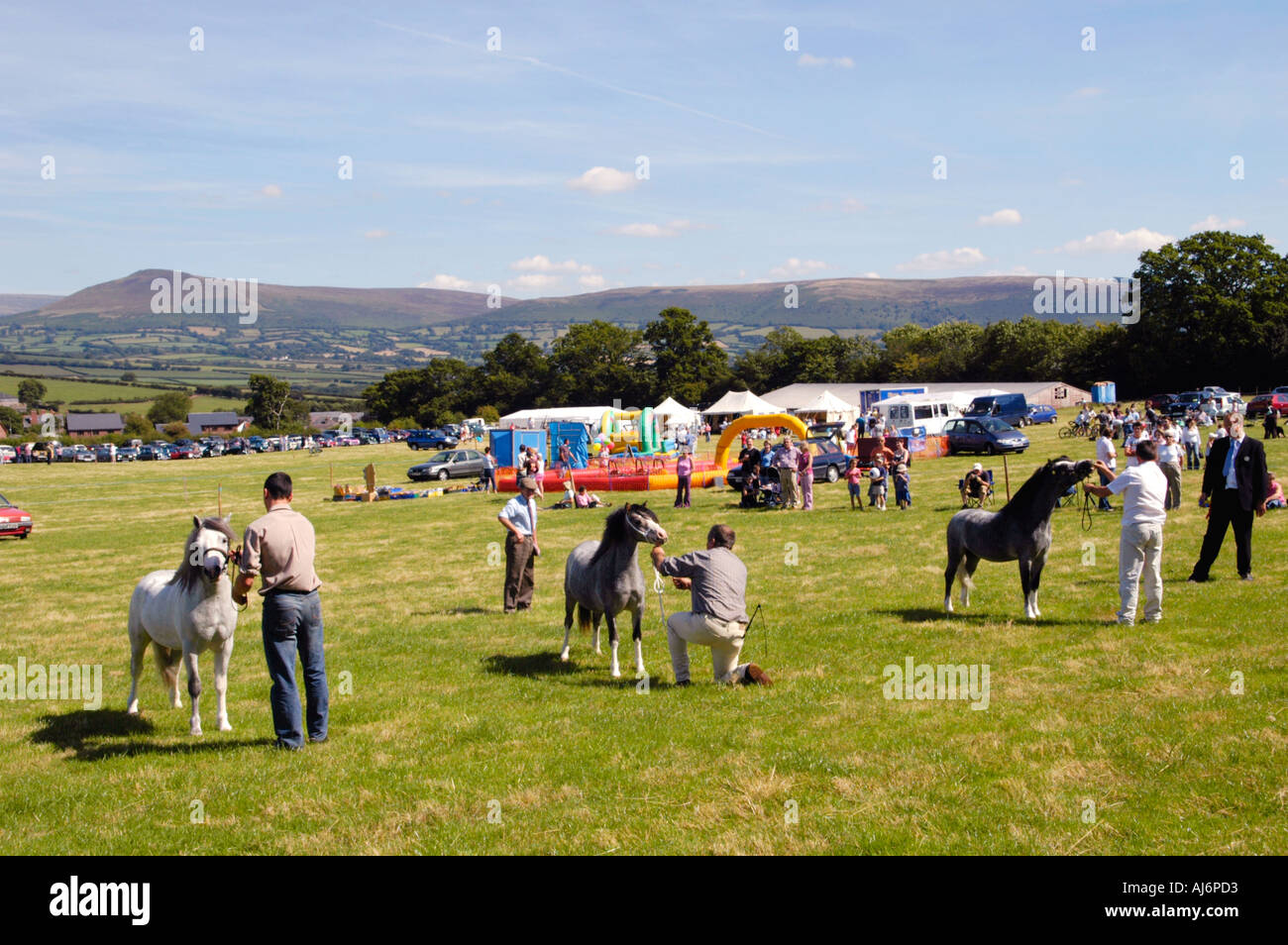 Horse show competition at Llanfihangel Talyllyn Agricultural Show near