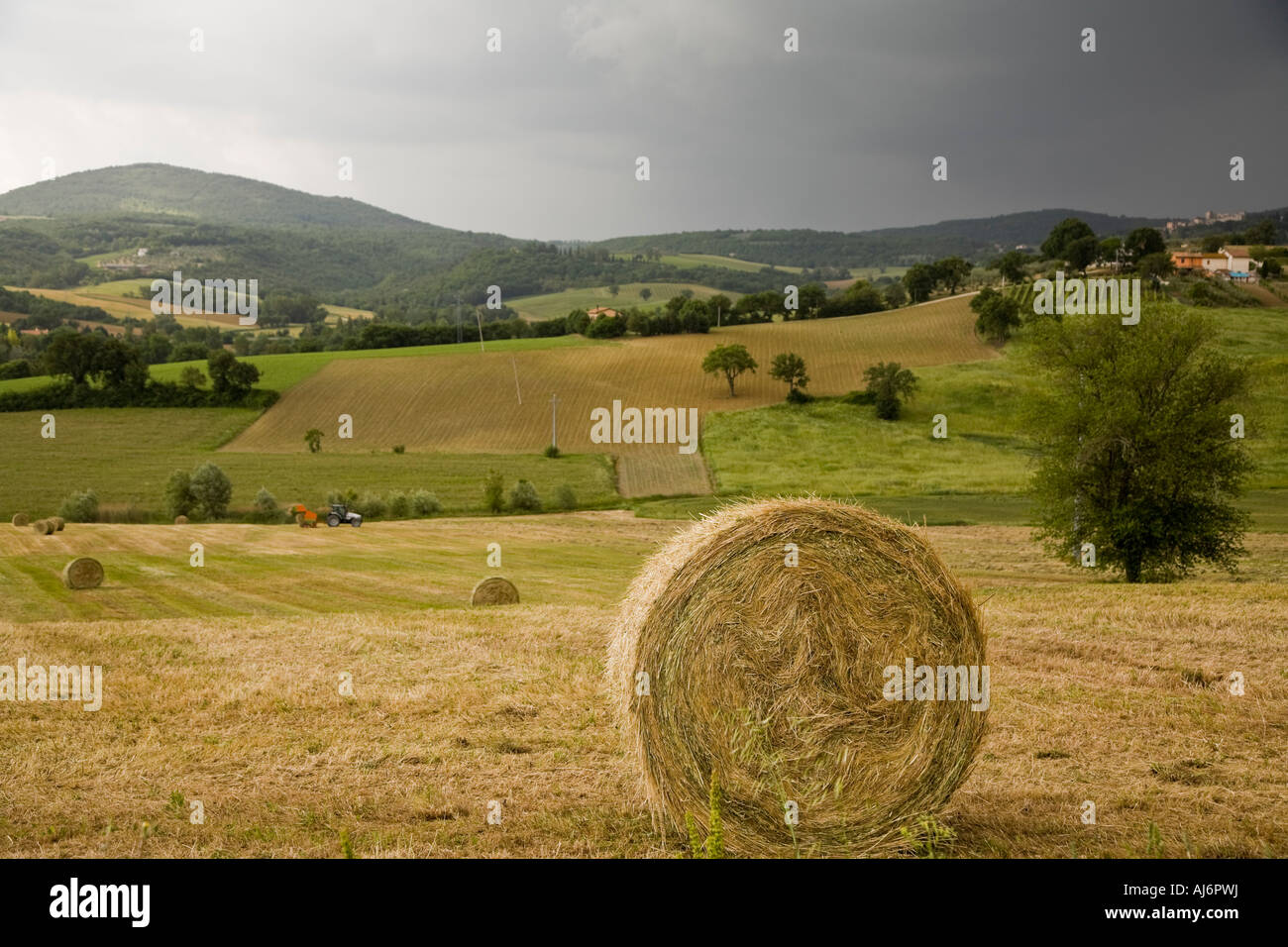 Round bales of hay in farm field near town of Bastardo Umbria Italy ...