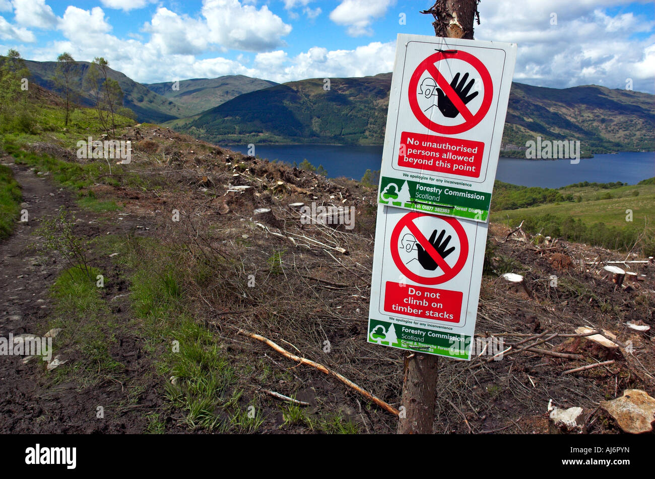 Signs warning people to keep out of a recently felled pine plantation Stock Photo