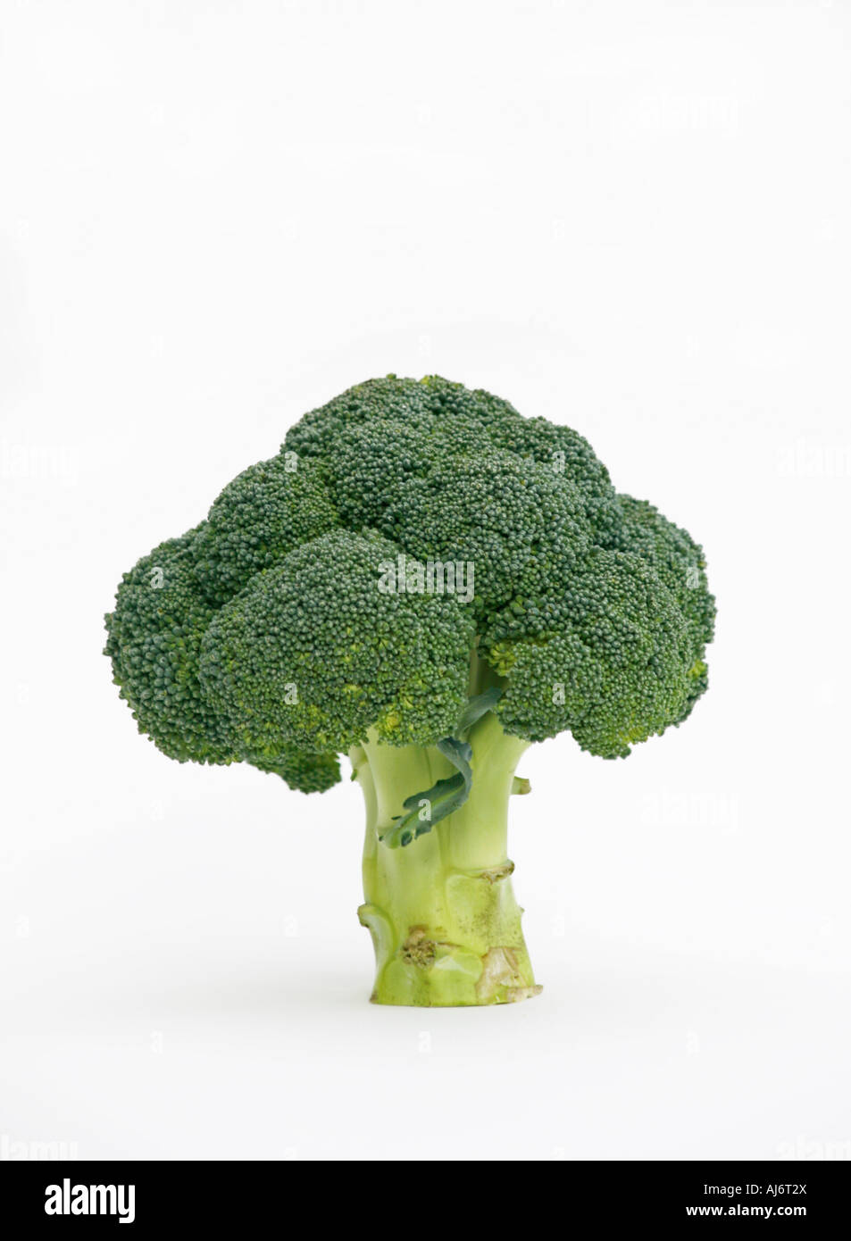 Cut broccoli stalk hires stock photography and images Alamy