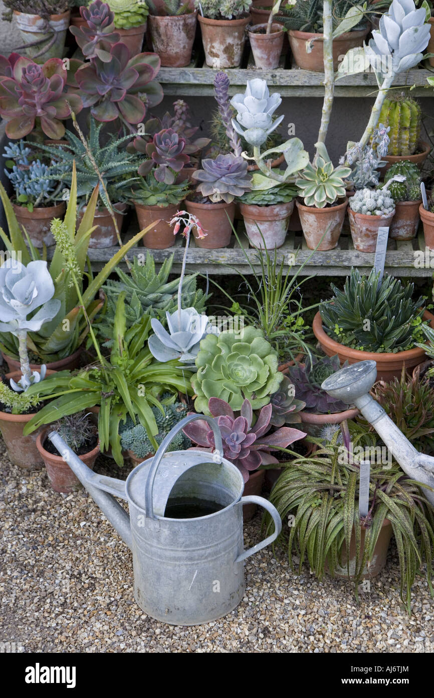 Garden Still Life Pots & Watering can Stock Photo Alamy