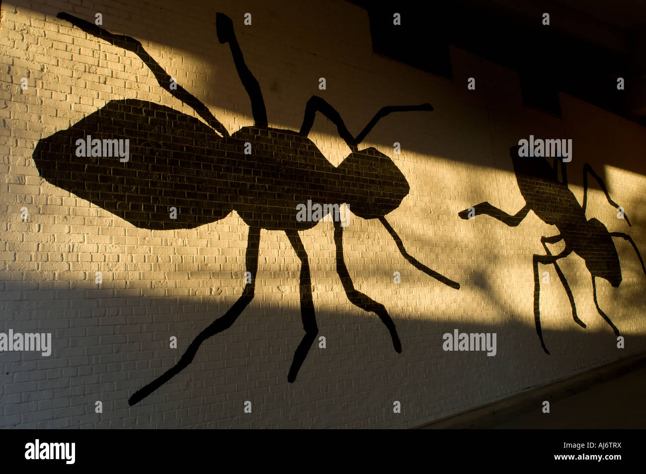 Giant ants painted on a brick wall Stock Photo