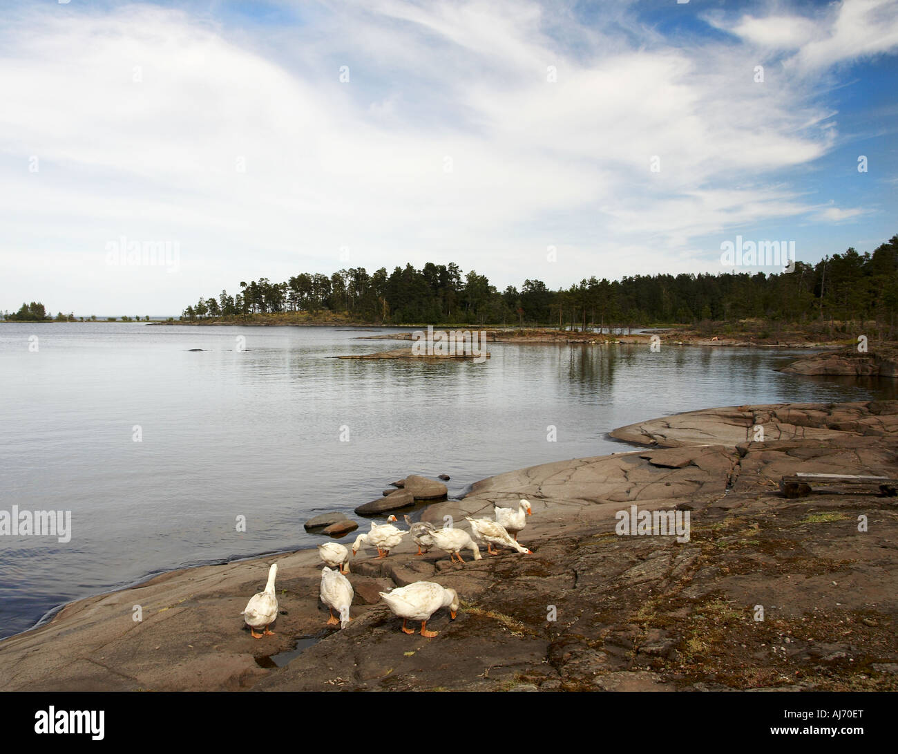 Valaam island Russia Stock Photo - Alamy