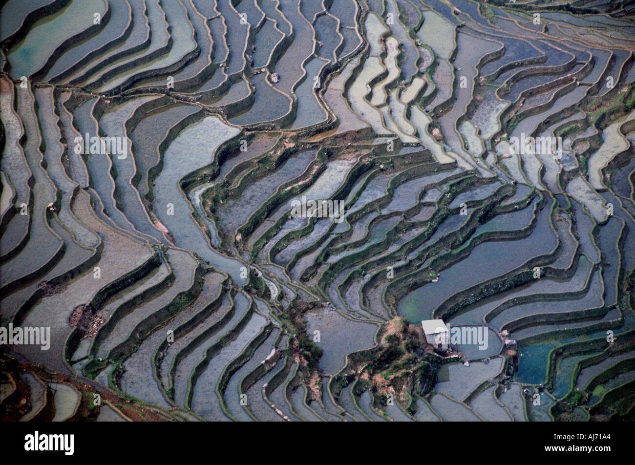 Rice Terraces in china yuanyang province landscape Stock Photo