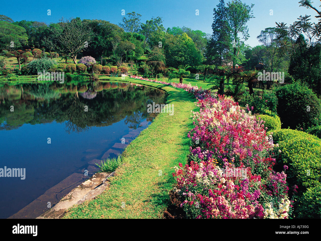 Flowers and pool in Vumba Botanical Gardens East Highlands on border with Mozambique near Mutare Zimbabwe Stock Photo