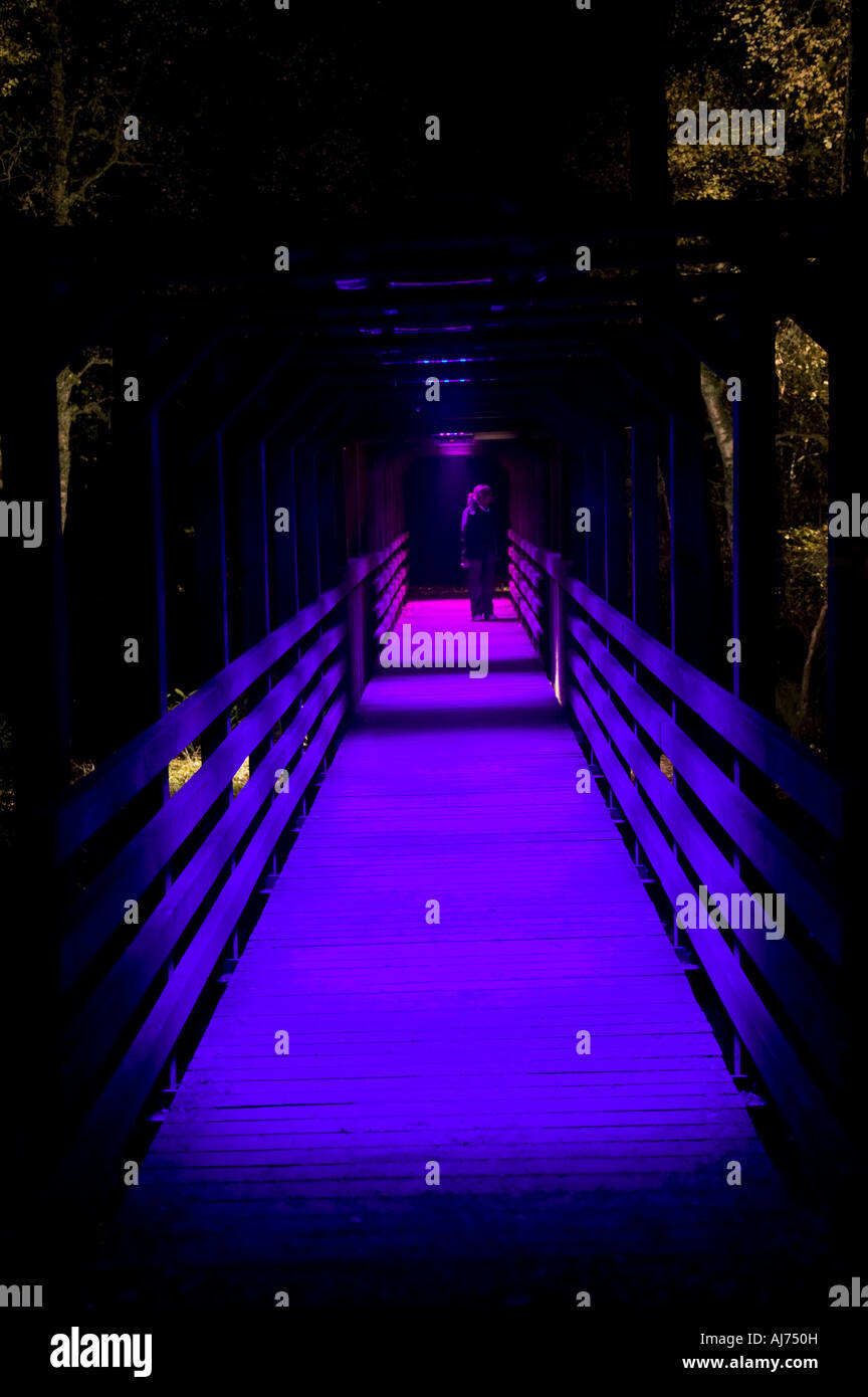 Foot bridge lit with blue light nightime, evening, Faskally, Loch Dunmore, Perthshire, Scotland, UK Stock Photo