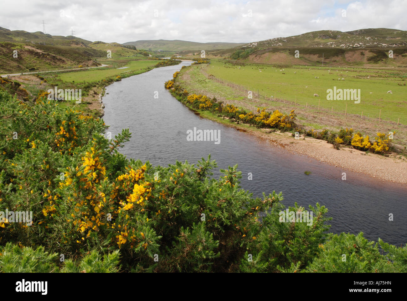 Halladale river on Strath Halladale spring time sheep pastures Highland Scotland Stock Photo