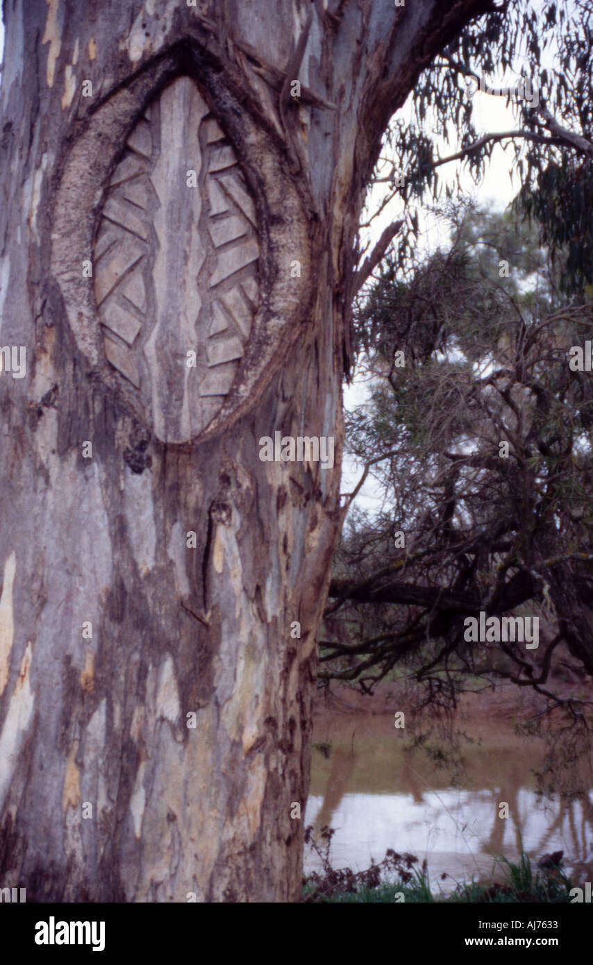 Engravings In Trees Australian aboriginal art river hi-res stock photography and images - Alamy