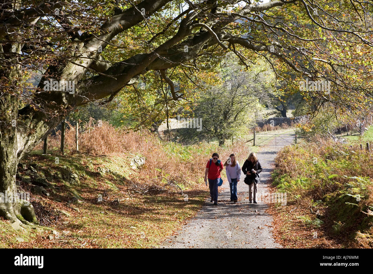 Three people two adults one younger person walking up a country lane in the Nant Llanellen valley Wales UK Stock Photo