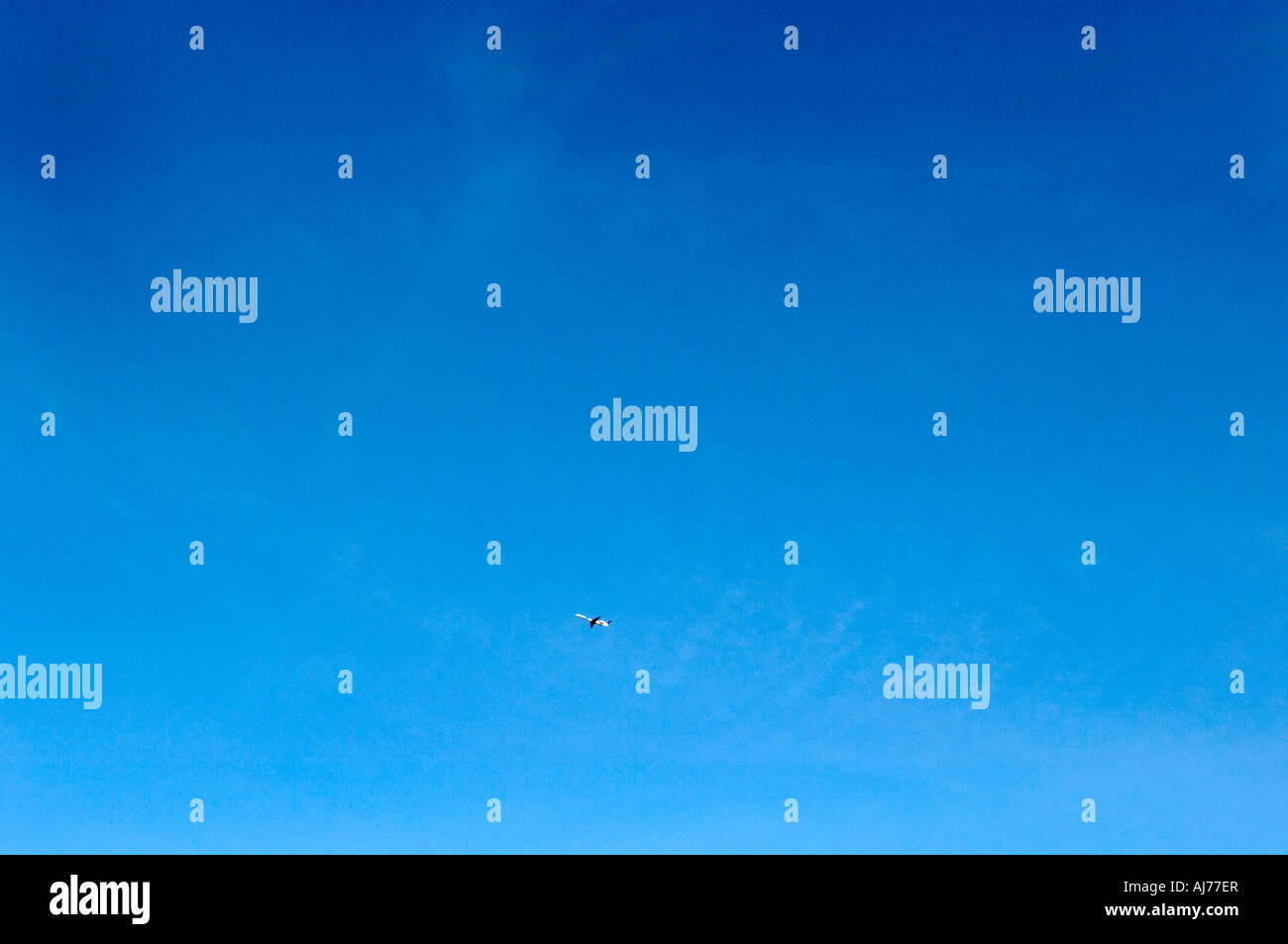 Bright sunny blue sky with fluffy clouds Stock Photo - Alamy