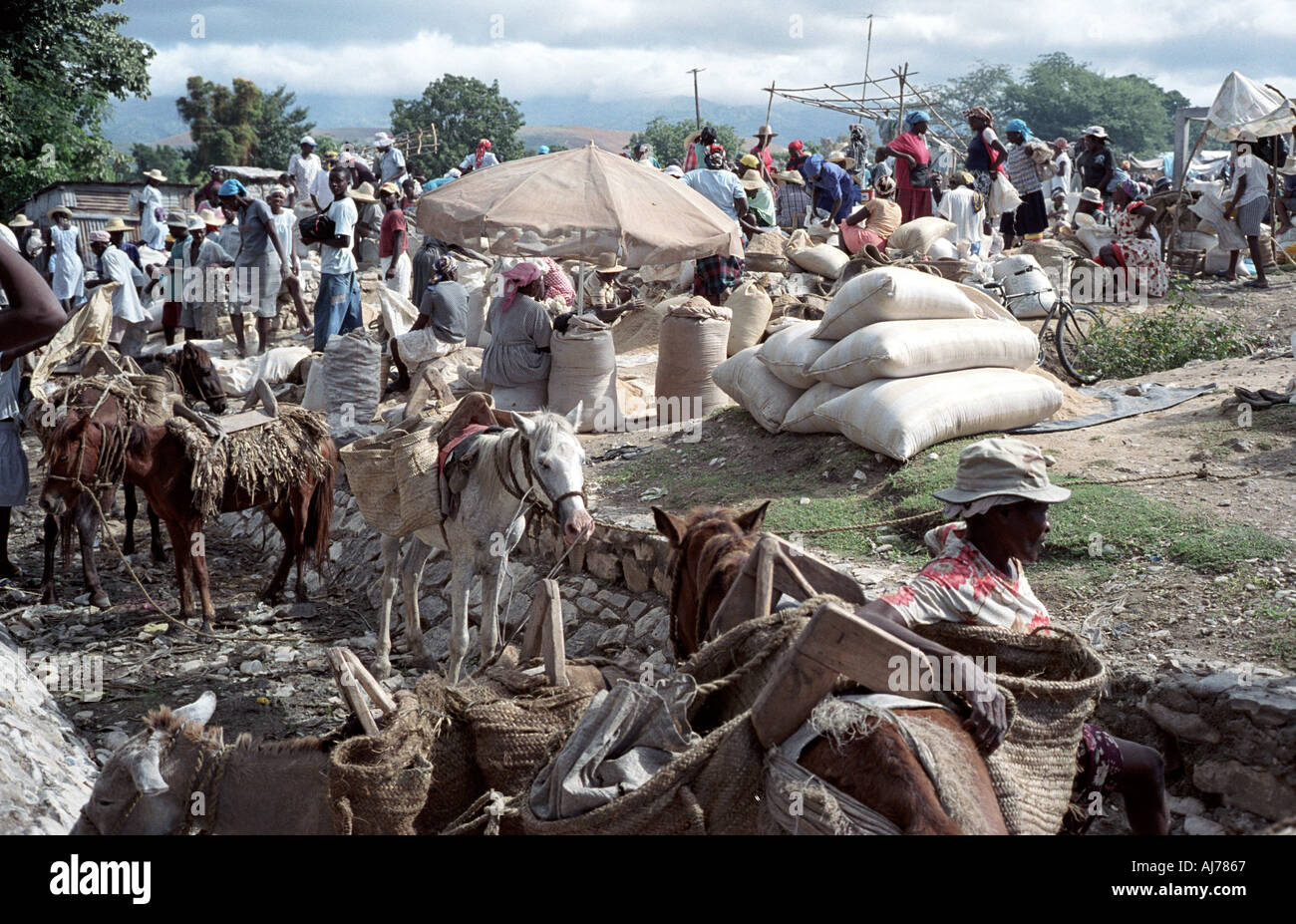 Haiti Petite Riviere market Stock Photo Alamy