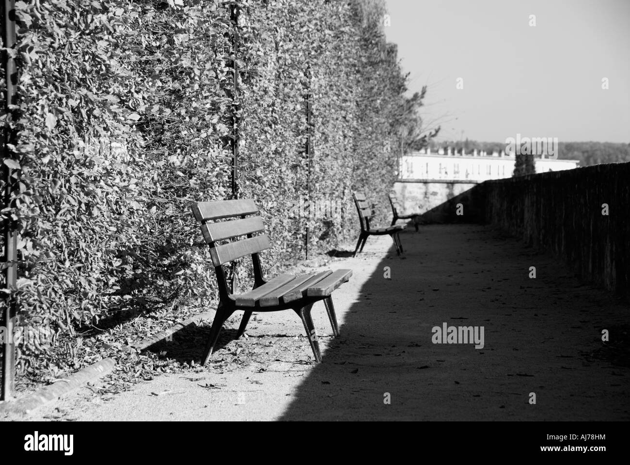 Stock Photo of three empty benches Stock Photo - Alamy