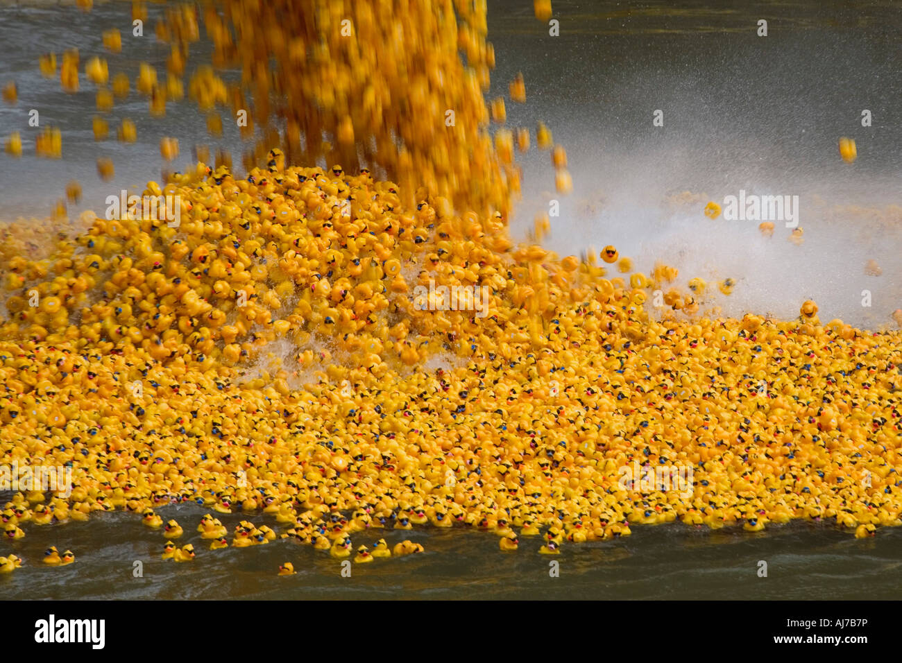 The Rubber Duck Regatta puts thousands of Rubber Ducks on the Ohio