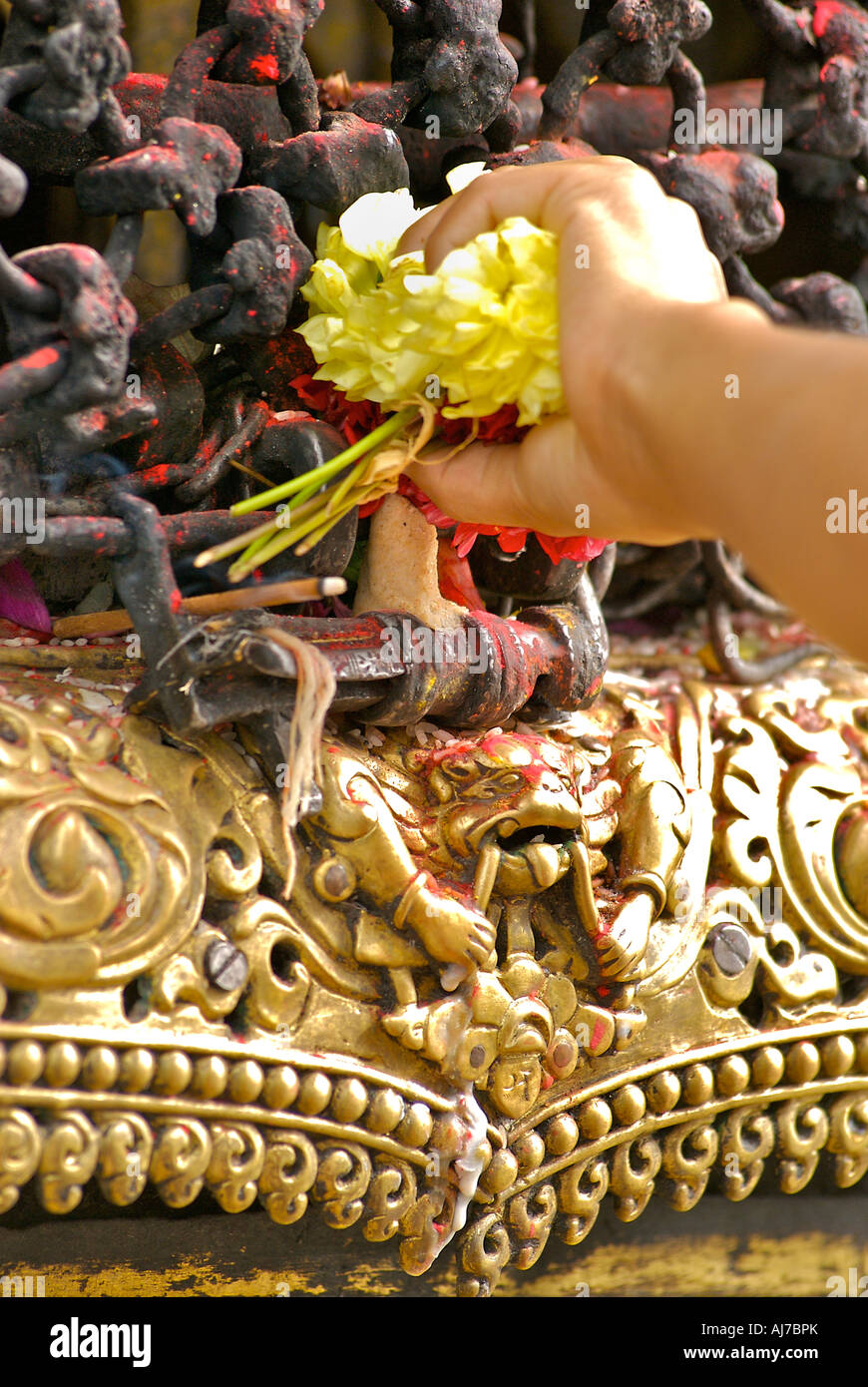 A woman s hand placing flowers at shrine Swayambhunath temple Kathmandu Nepal Stock Photo