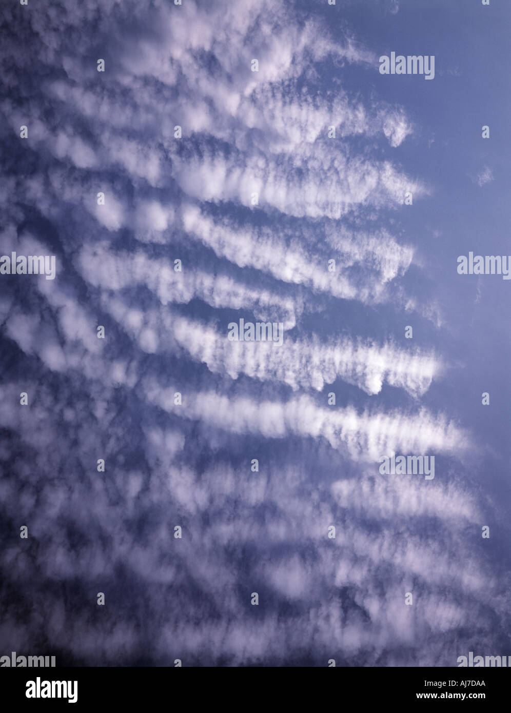 Buttermilk sky hires stock photography and images Alamy