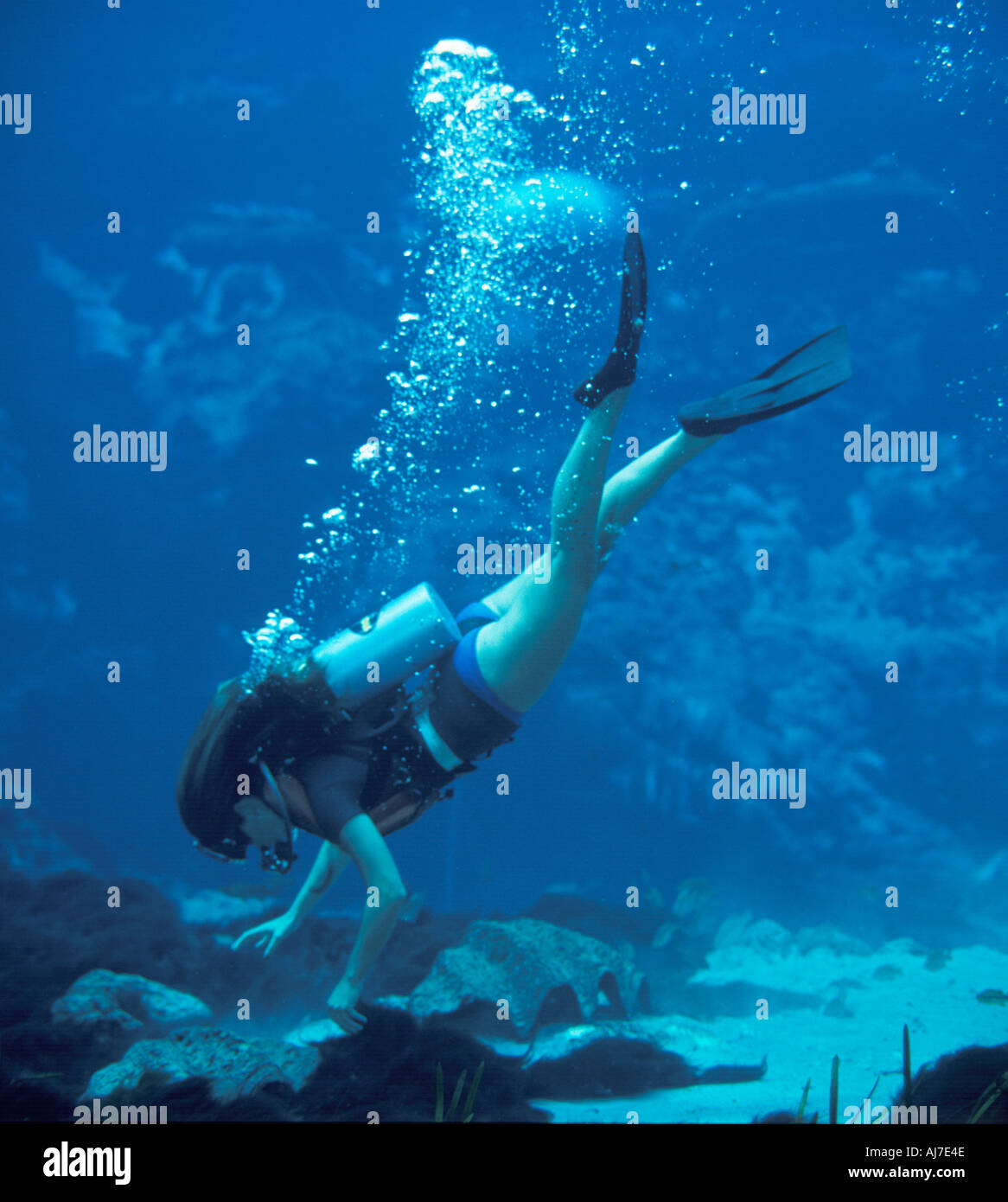 skin diver exploring caves Florida spring USA Stock Photo Alamy