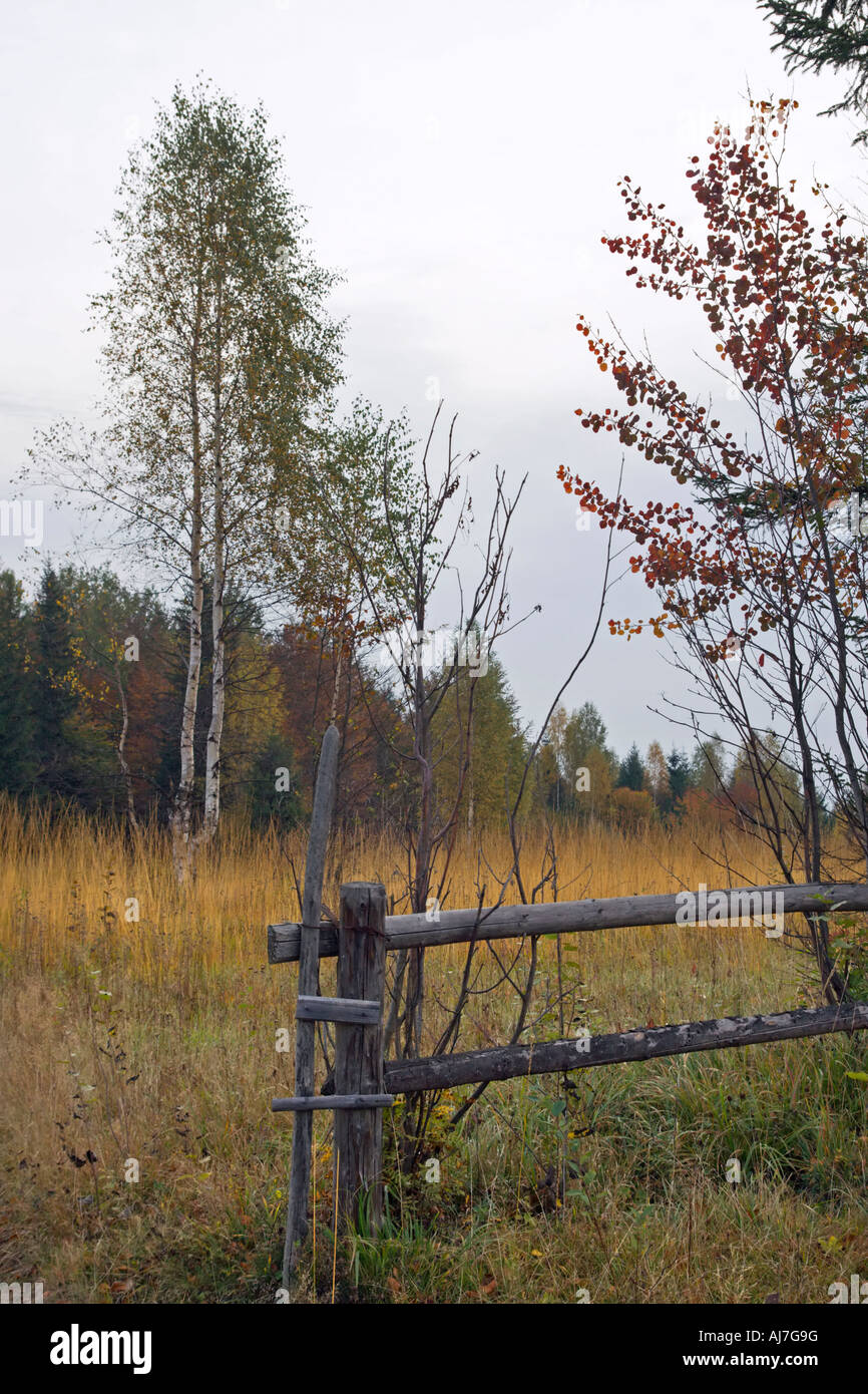 Autumn mountain hill with birch tree and breaking wood fence in front Stock Photo