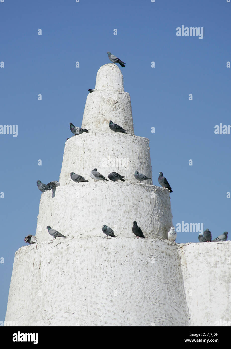 Pigeons on a tower of the Qassim  mosque in Doha,Qatar. Stock Photo