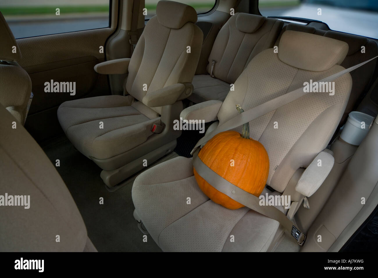 Preparations for Halloween. Overly protective: Halloween pumpkin in the backseat of a minivan car with safety belt. Stock Photo