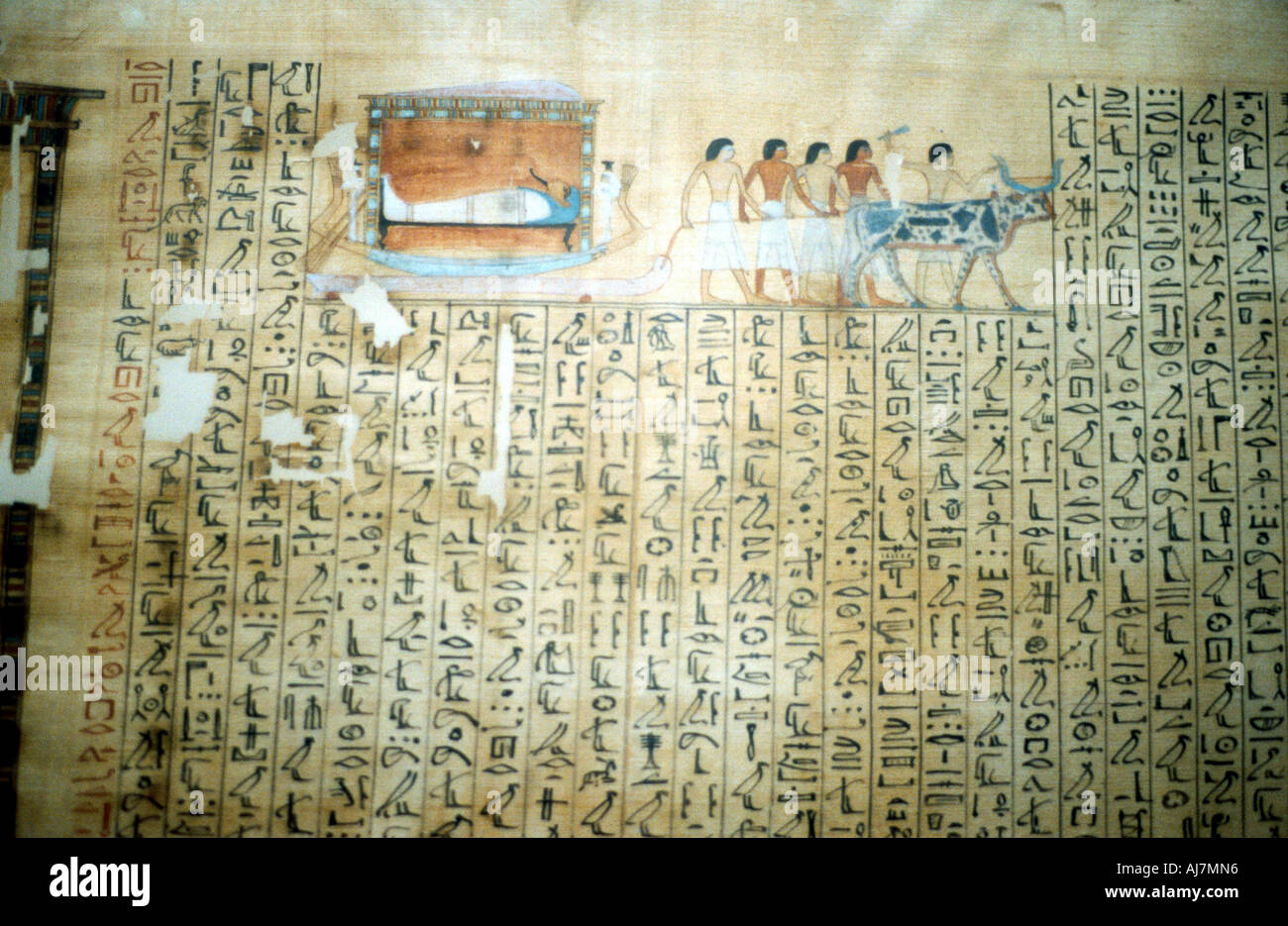 Papyrus from an Ancient Egyptian Book of the Dead. Artist: Unknown Stock Photo