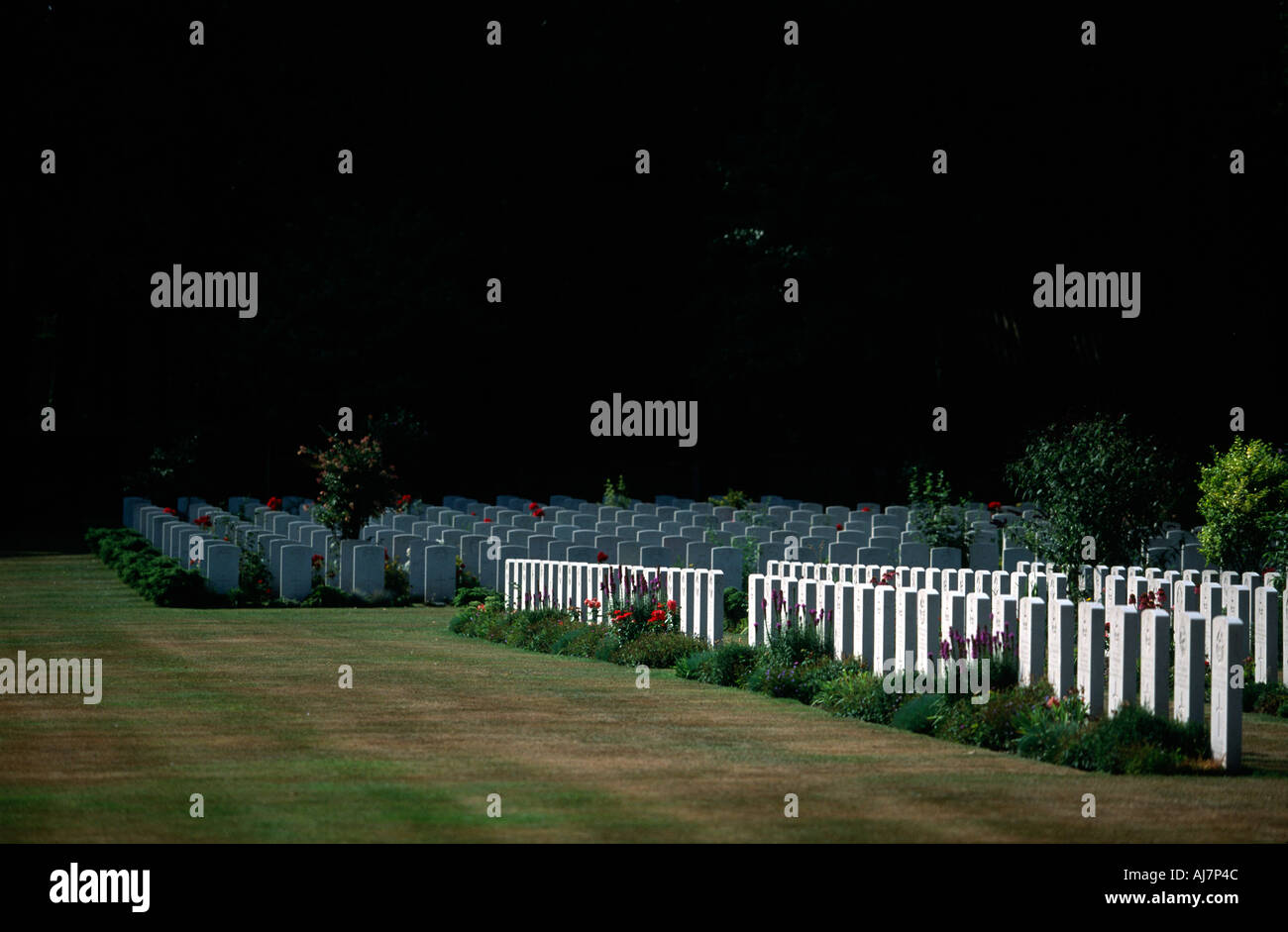 Operation Market Garden Hi-res Stock Photography And Images - Alamy