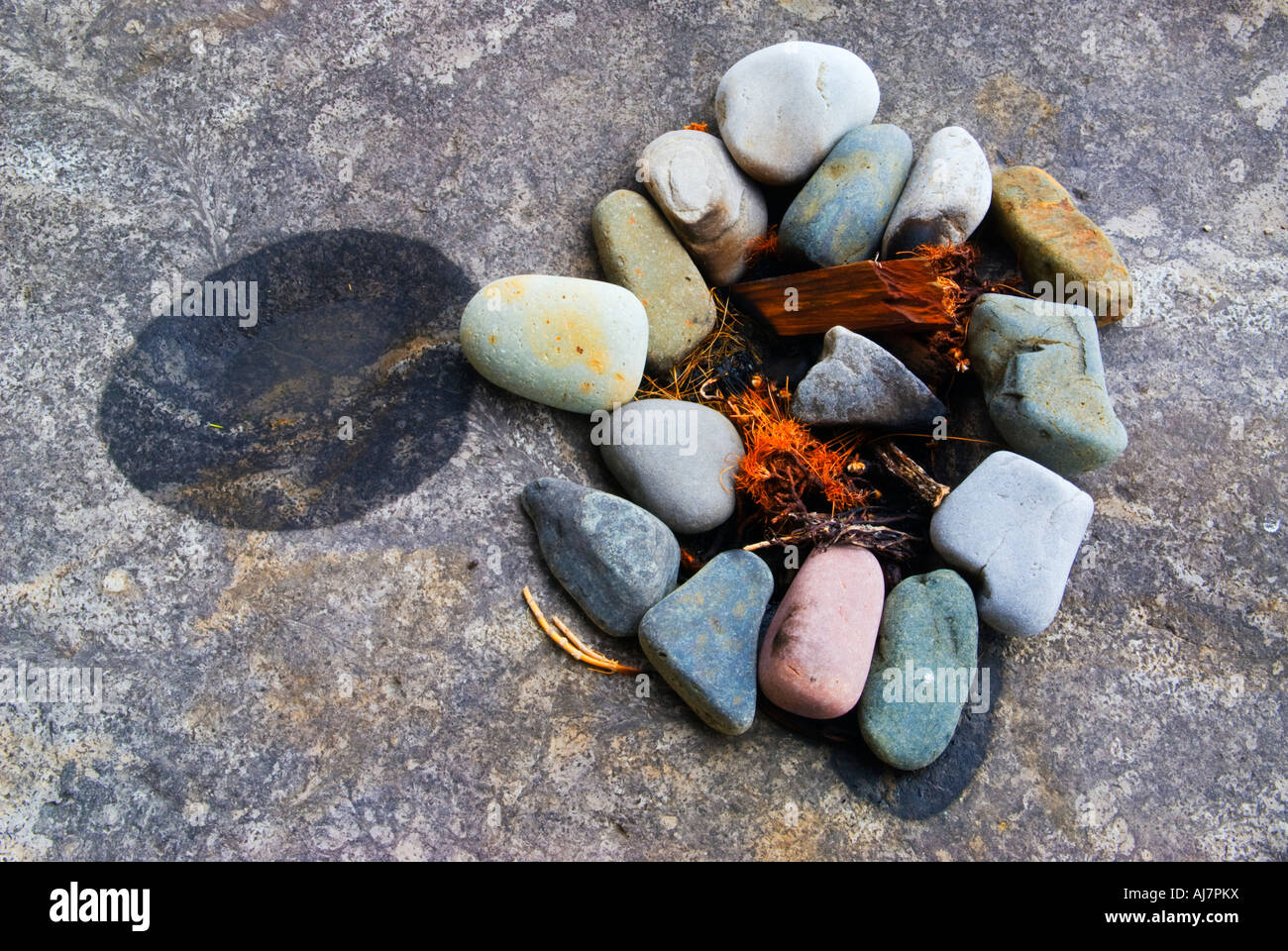 Tidal Drift Washed Ashore By Sea Pebbles Rocks Plants Wood Naturally ...