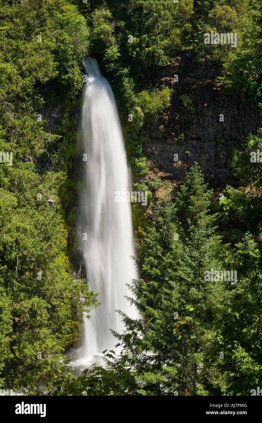 Mill Creek Falls Cascade Mountains Oregon waterfall drops into the