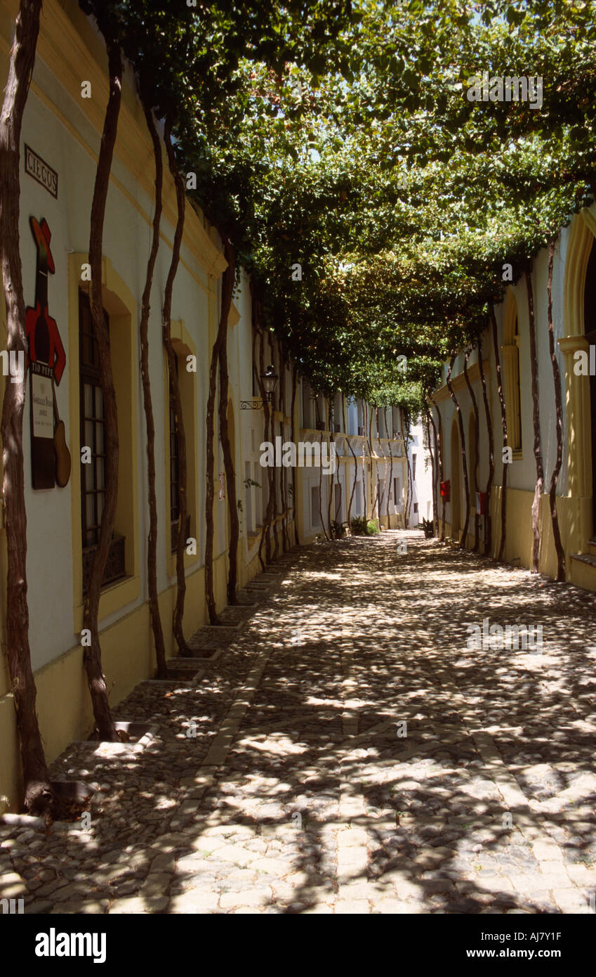 A shaded street in the Gonzalez Byass bodega, showing the Tio Pepe logo, Jerez de la Frontera, Andalucia, Spain Stock Photo