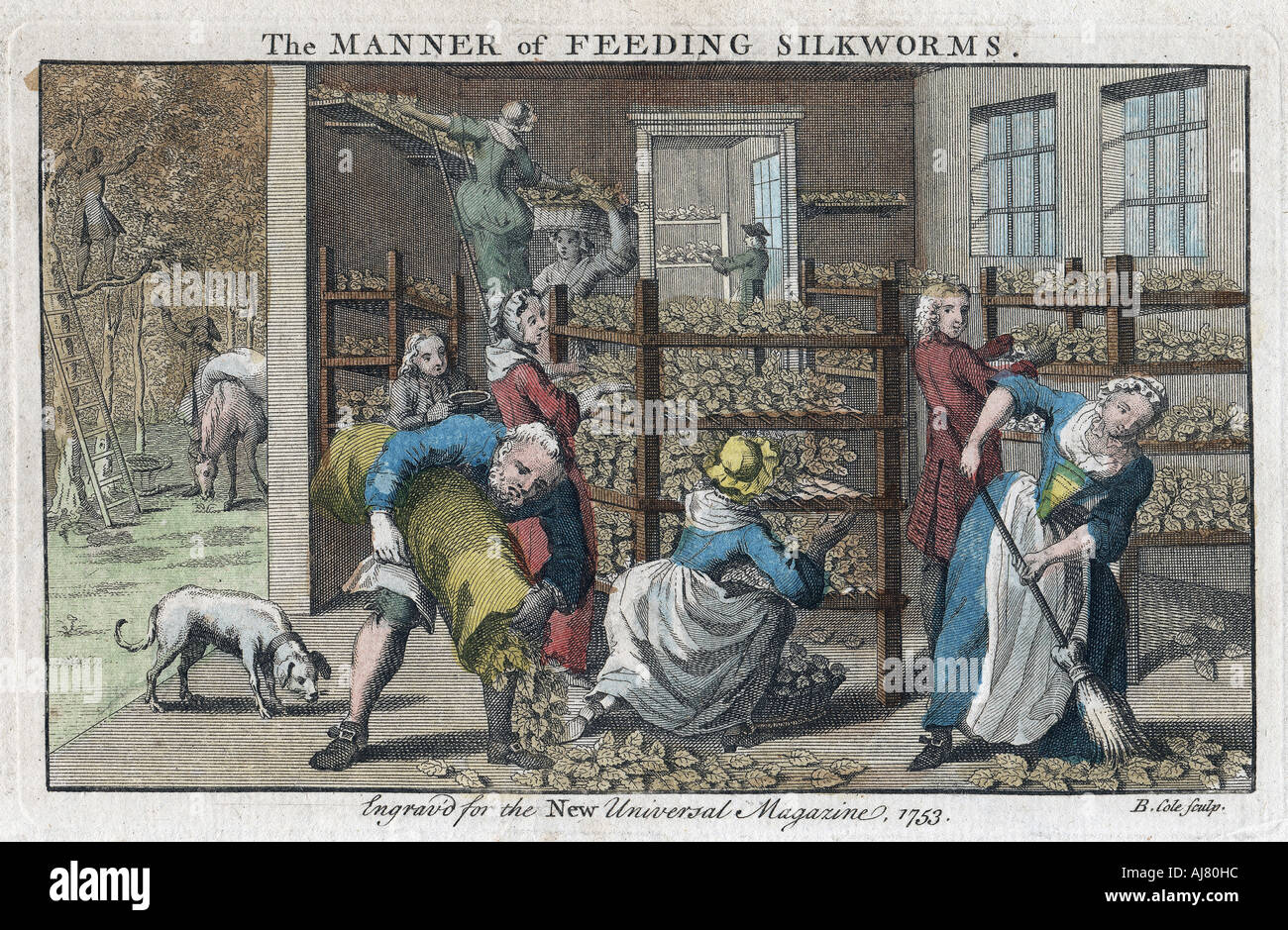 'The Manner of Feeding Silkworms', 1753. Artist: Benjamin Cole Stock Photo