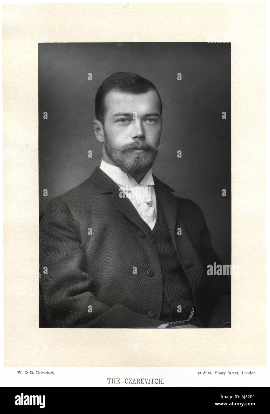 Nicholas II Tsar of Russia, as Tsarevich, c1890. Artist: Unknown Stock Photo