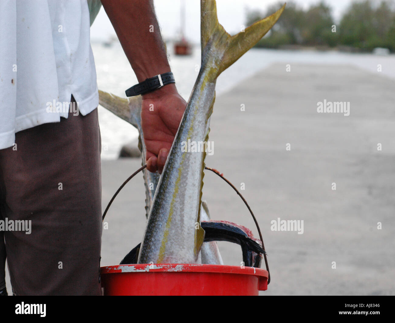 Fisherman walking carrying fish catch in a bucket Stock Photo