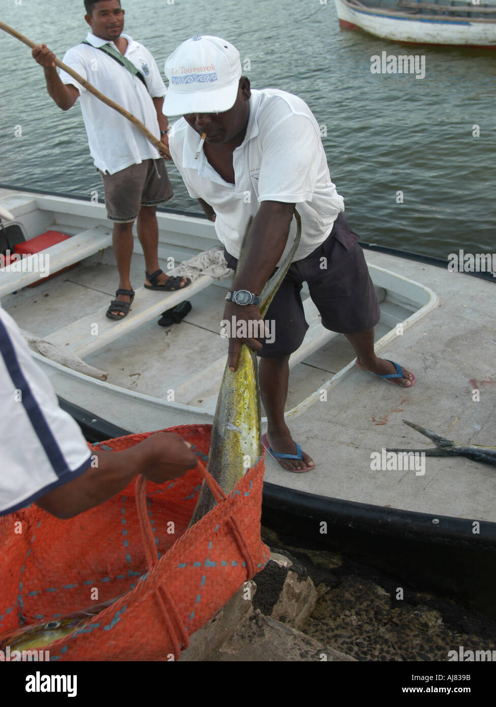 bringing in tuna catch, fishing Mauritius, Indian Ocean Stock Photo