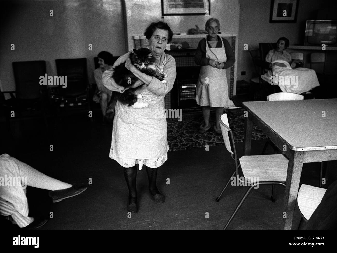 Woman with cat standing in her room at mental home called Botteleys Park soon to be closed down in the 1970's Britain. Stock Photo