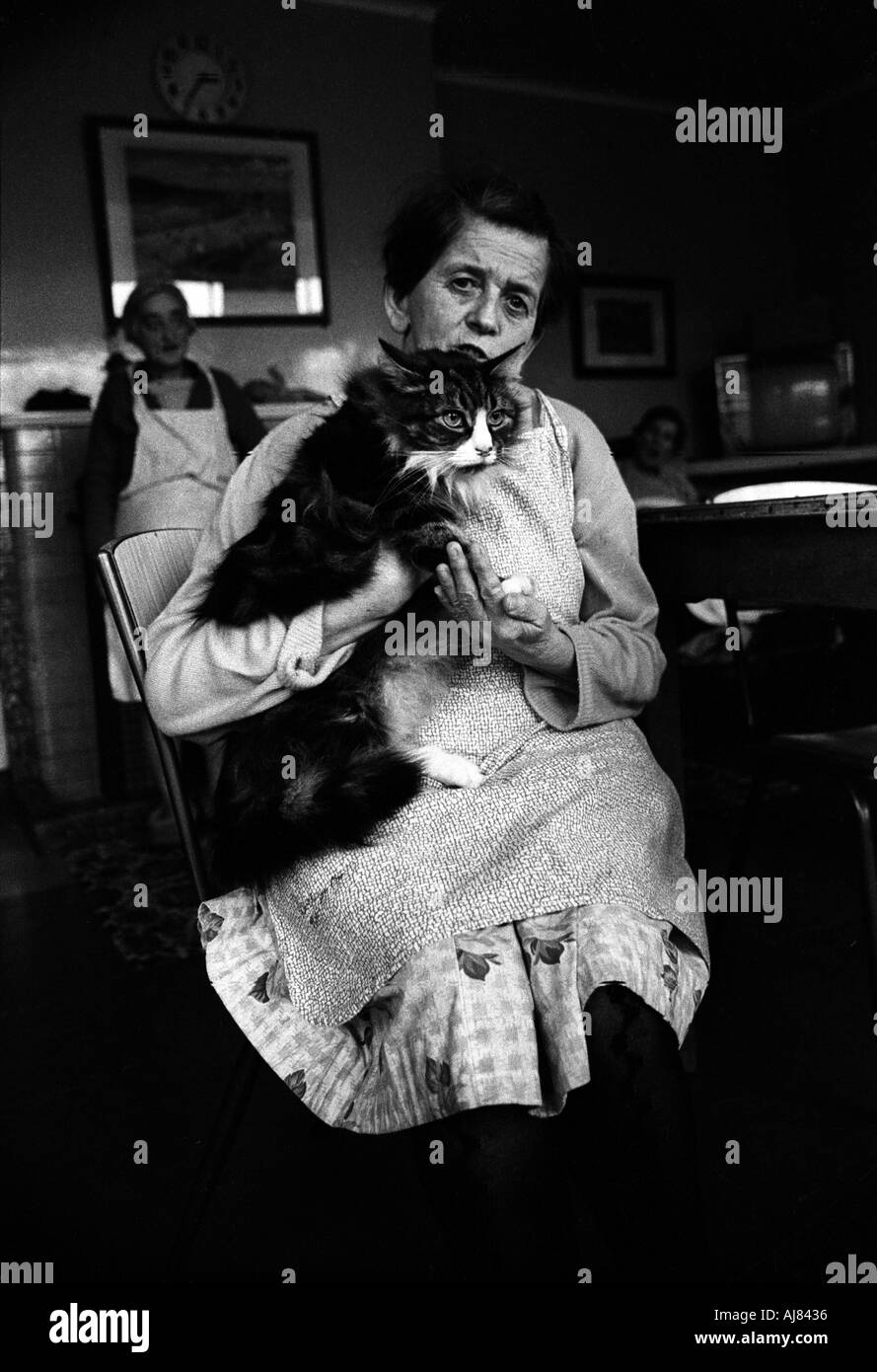 Woman with cat sitting in her room at mental home called Botteleys Park soon to be closed down in the 1970's Britain. Stock Photo