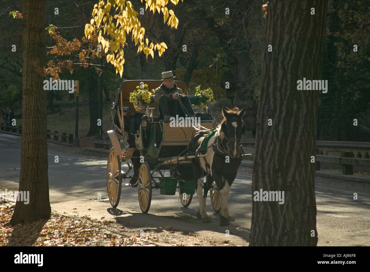 Nyc fall tour hi-res stock photography and images - Alamy