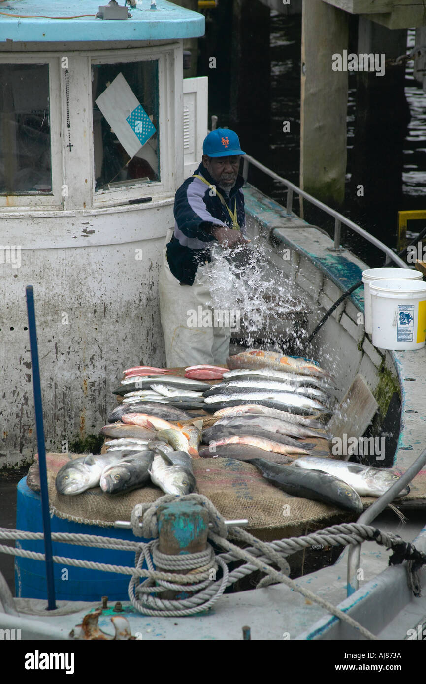https://c8.alamy.com/comp/AJ873A/fisherman-with-fresh-catch-of-alantic-ocean-fish-for-sale-from-fishing-AJ873A.jpg