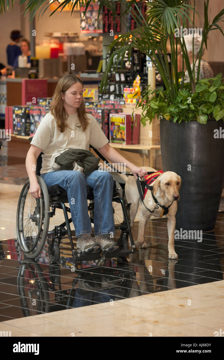 A young woman in a wheel chair with a service dog 2 Stock Photo - Alamy