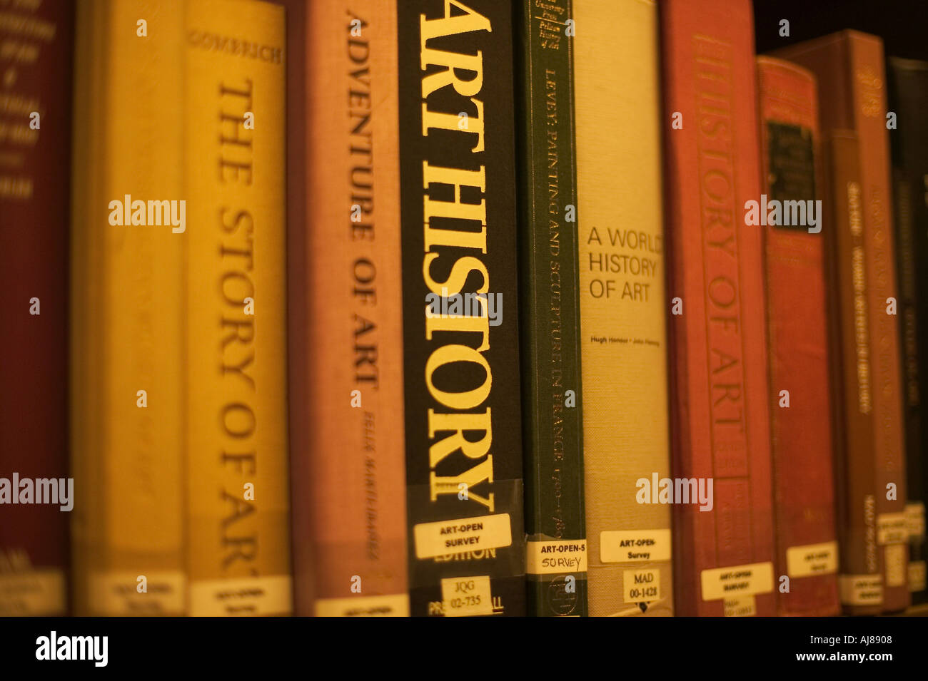 Art History books on shelves in the reference reading room at the New York Public Library in Midtown Manhattan New York NY Stock Photo