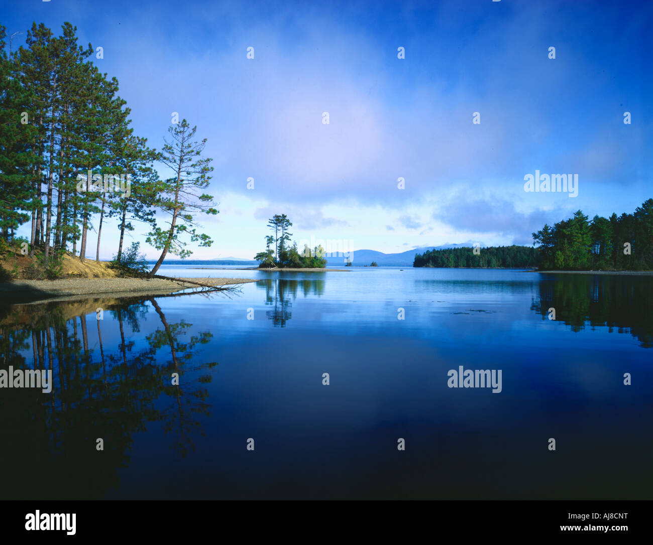 Moosehead Lake Lily Bay State Park Maine USA, by Gary A. Nelson/Dembinsky Photo Assoc Stock Photo