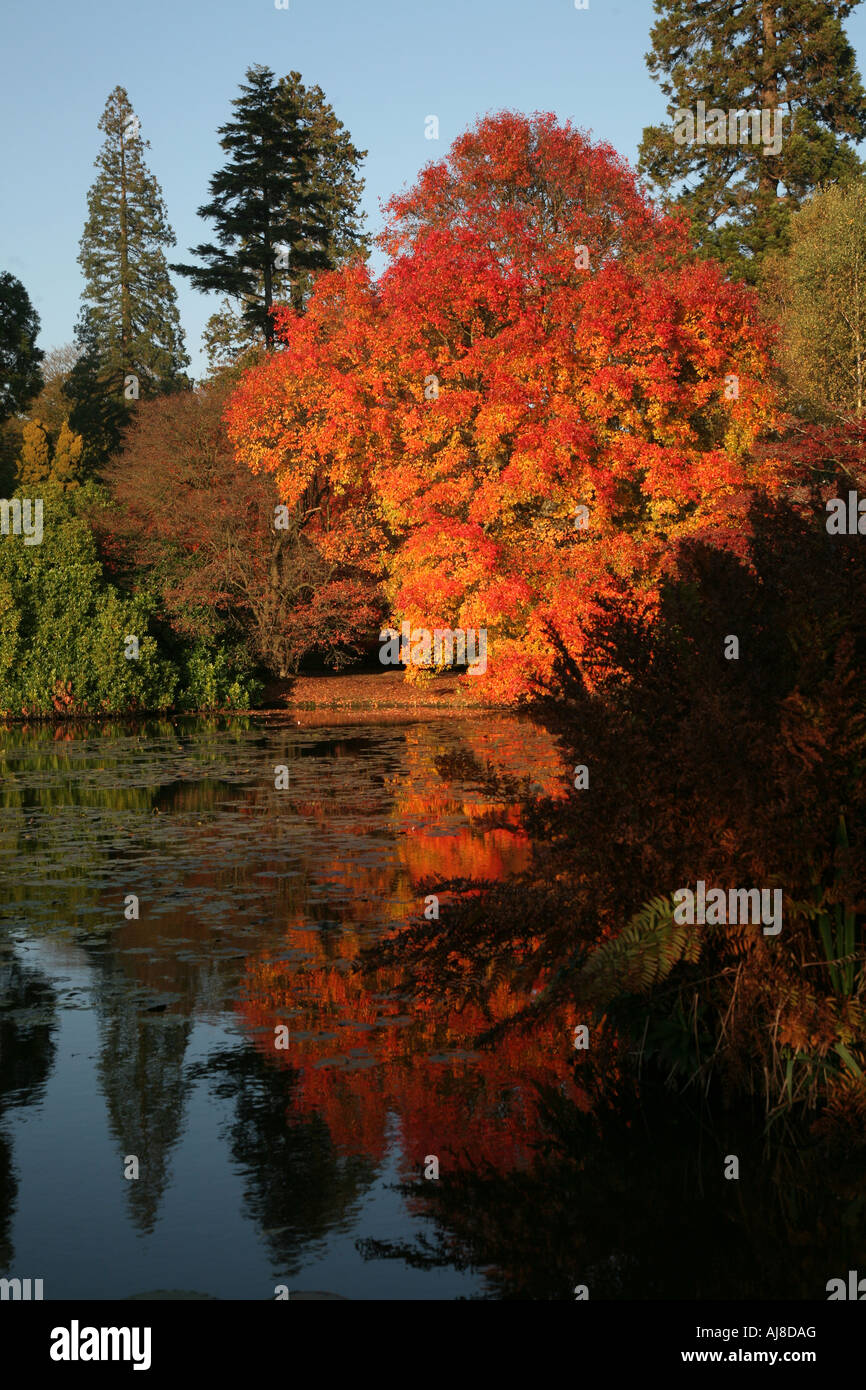 Sheffileld Park Garden, East Sussex, designed by Capability Brown Stock Photo