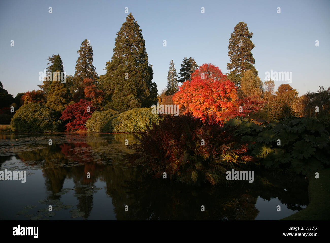 Sheffileld Park Garden, East Sussex, designed by Capability Brown Stock Photo